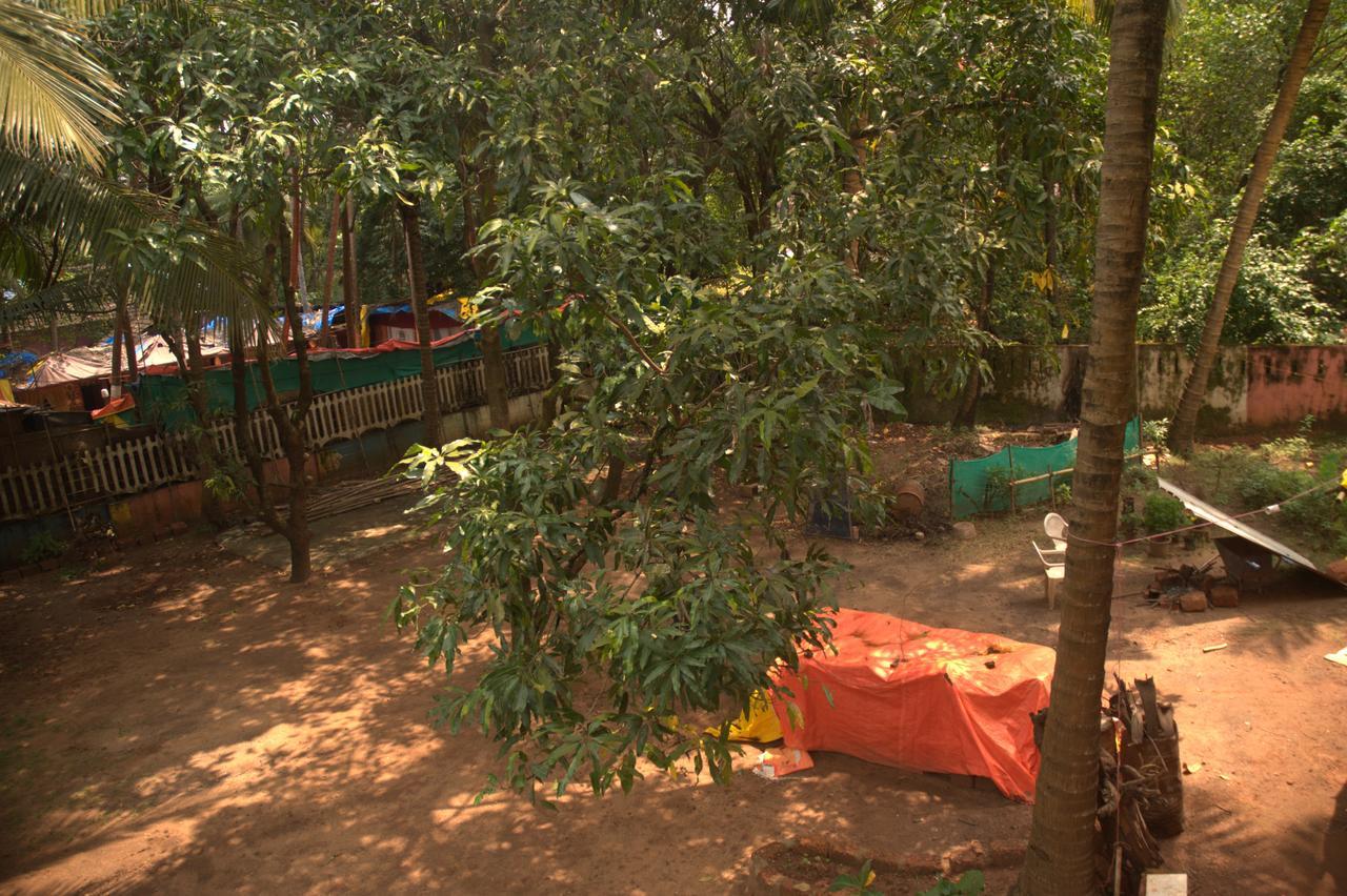 Namahstay Eco Hostel & Coworking & Art Community Space Arambol Dış mekan fotoğraf